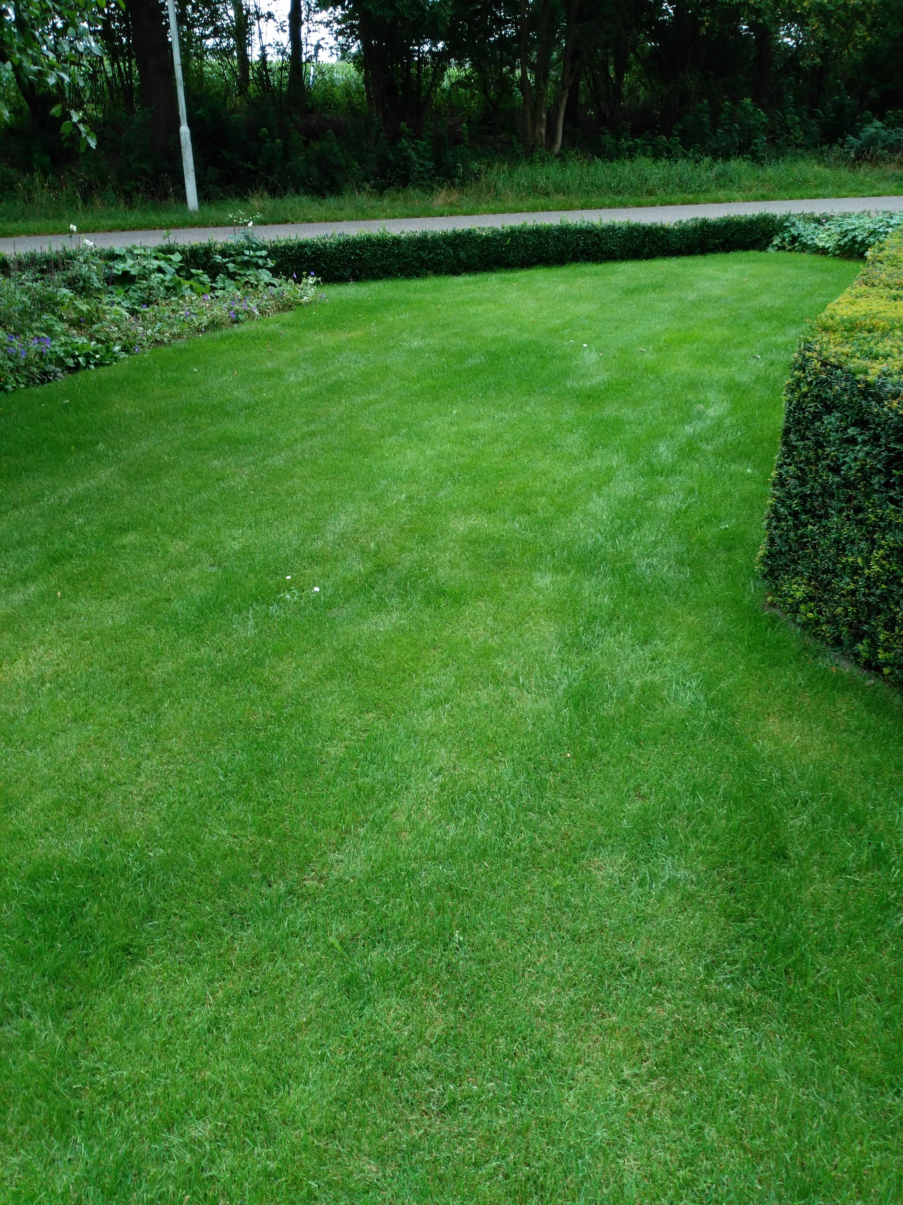 Gazononderhoud